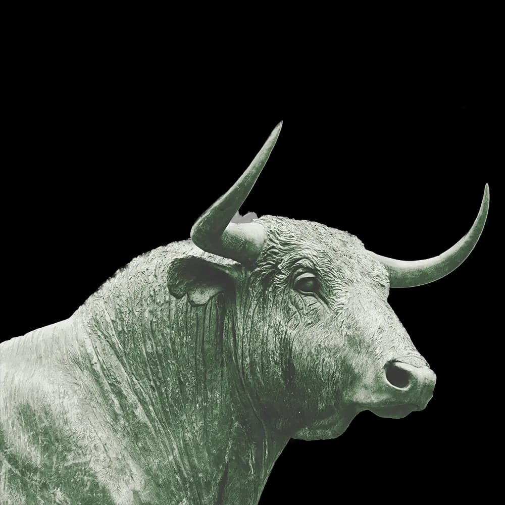 Bull