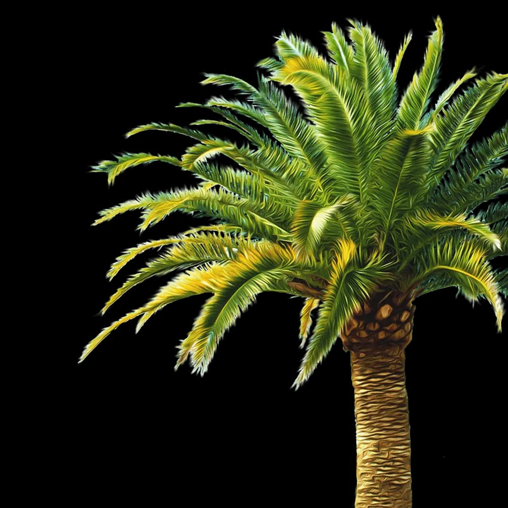 Palmtree