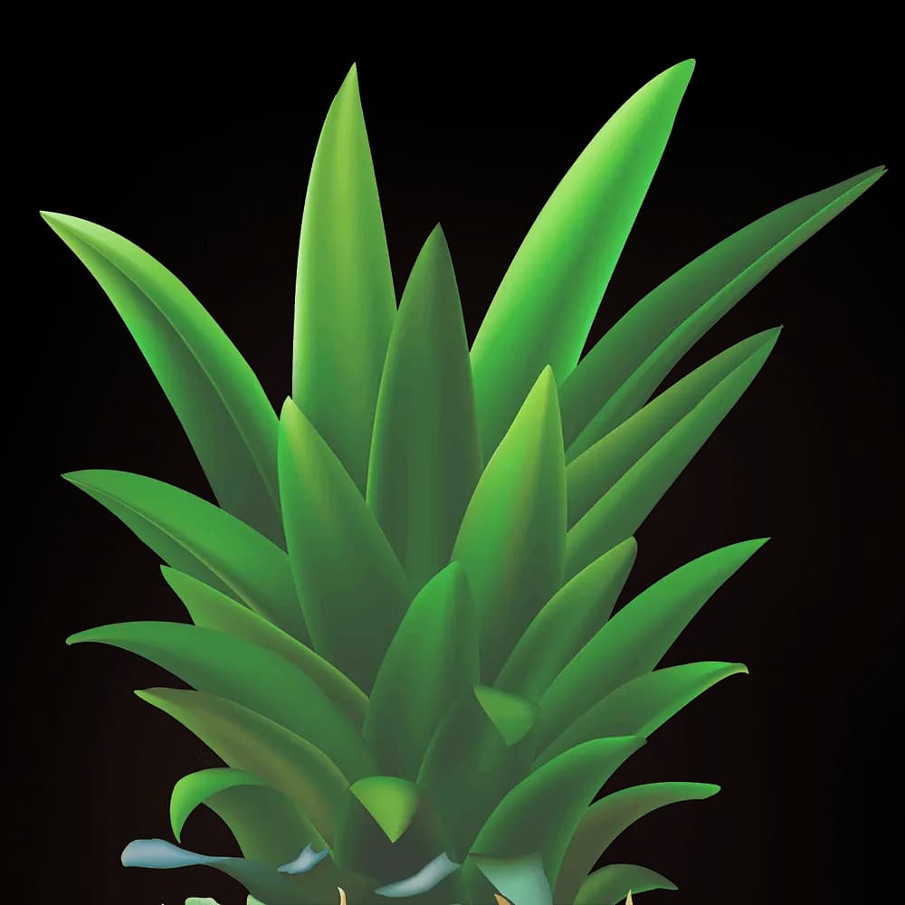 Tropical