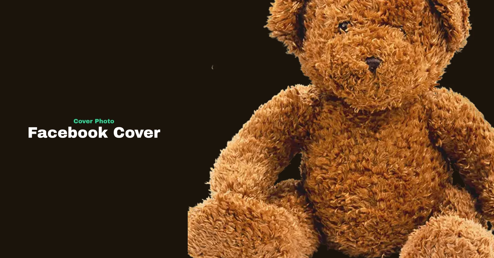 A cover made in the Bolicover editor, titled Facebook Cover