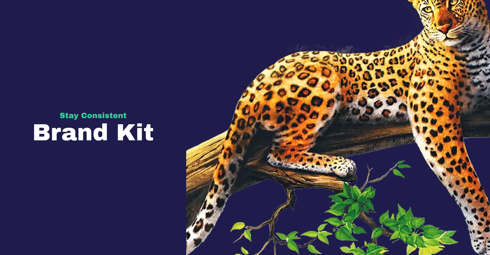 A cover made in the Bolicover editor, titled Brand Kit
