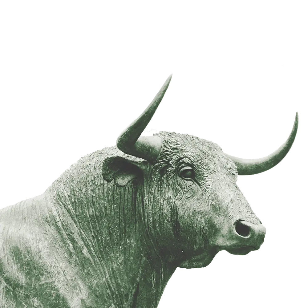 Bull