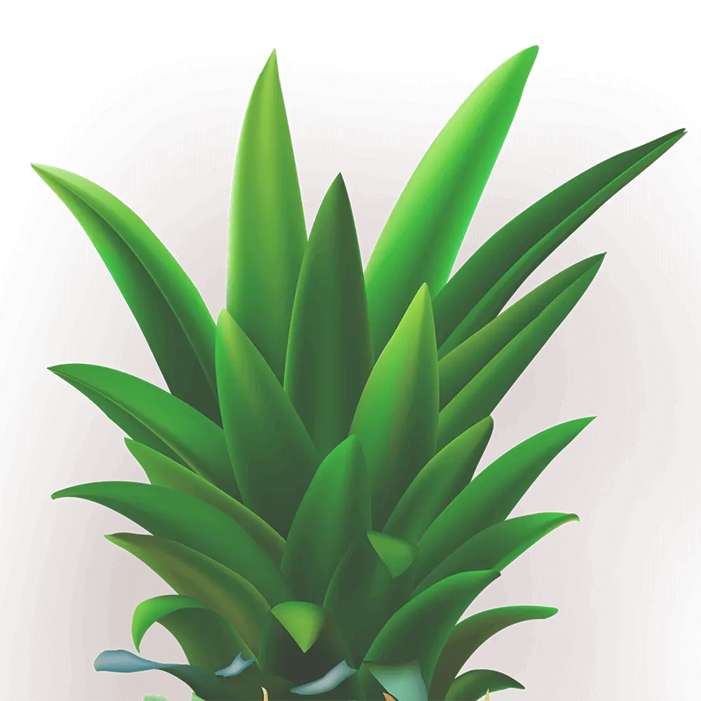 Tropical